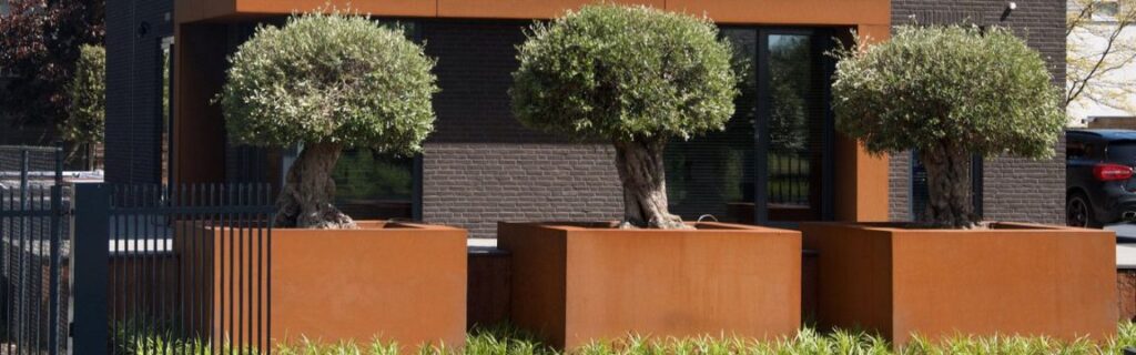 Voici un exemple de jardinières en acier corten sur une terrasse publique.